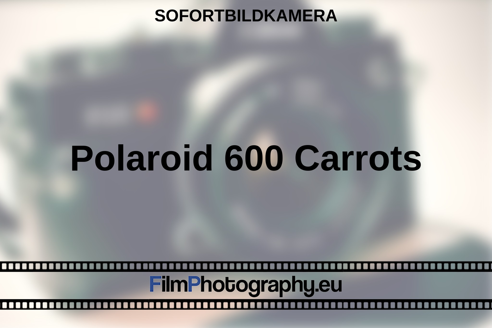 polaroid-600-carrots-sofortbildkamera-bnv.jpg