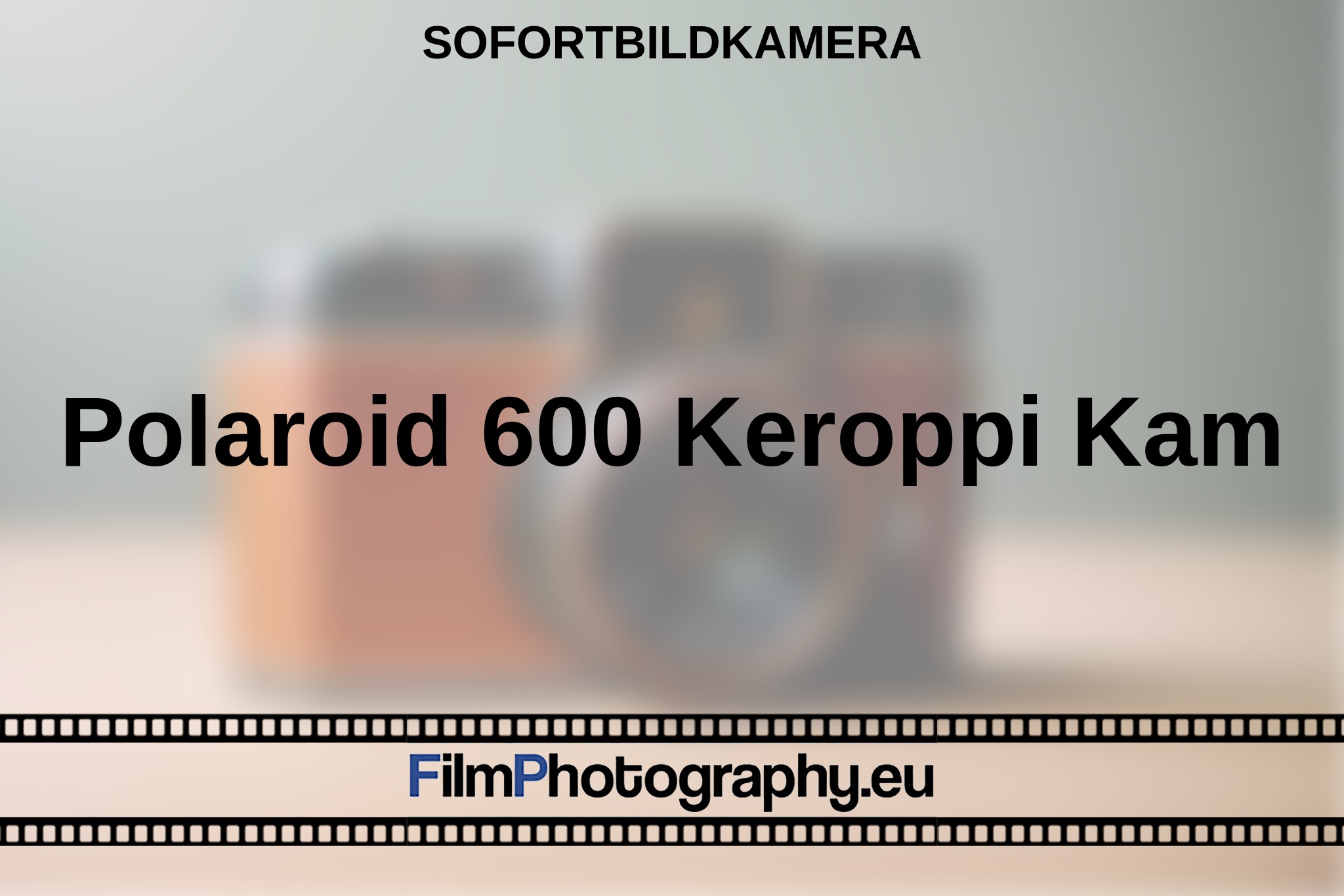 polaroid-600-keroppi-kam-sofortbildkamera-bnv.jpg