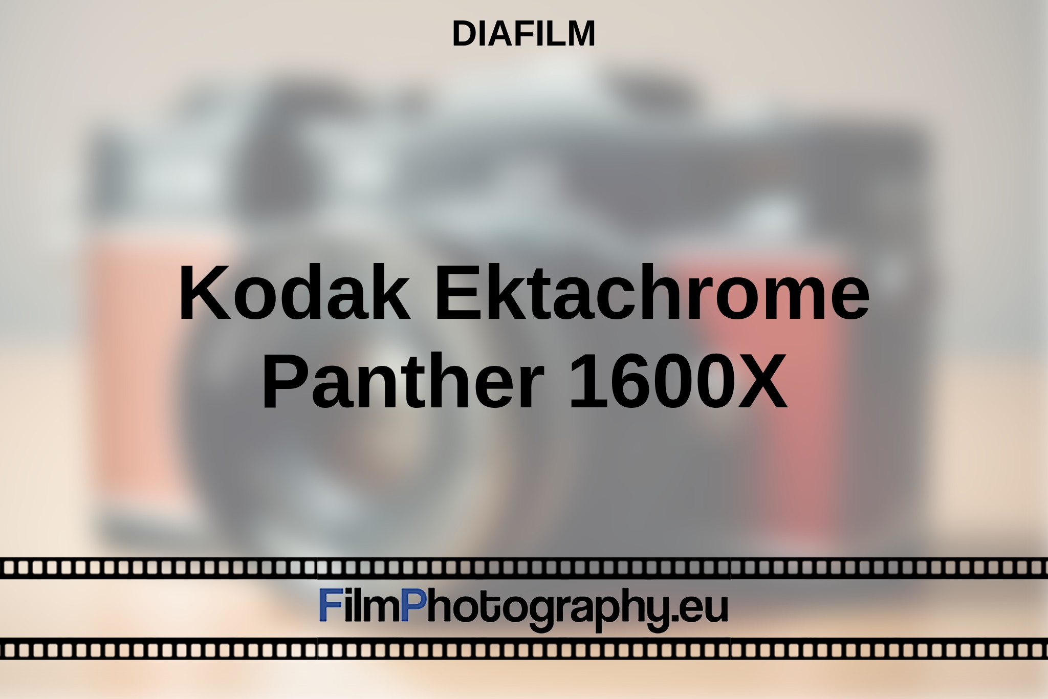 kodak-ektachrome-panther-1600x-diafilm-bnv.jpg