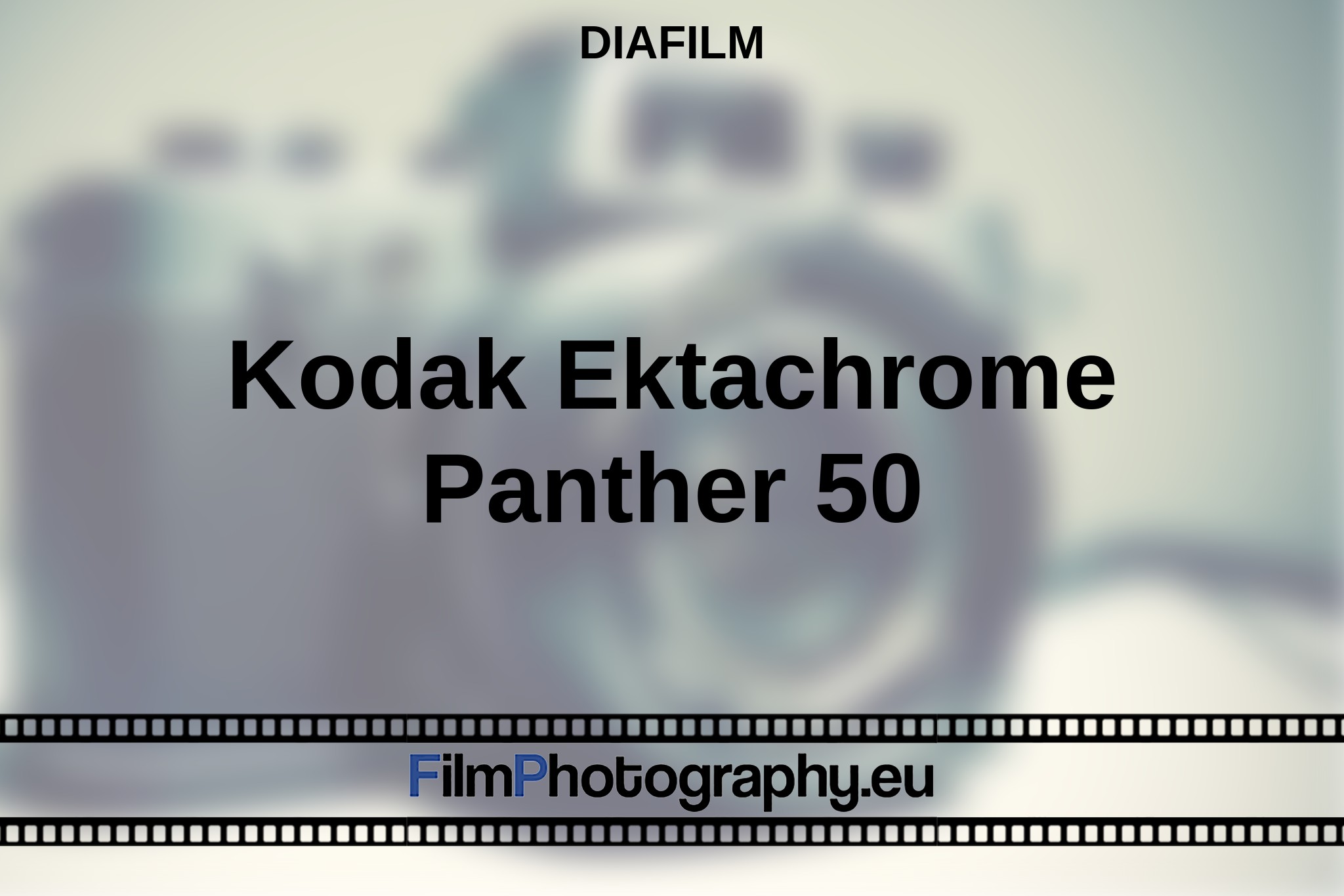 kodak-ektachrome-panther-50-diafilm-bnv.jpg