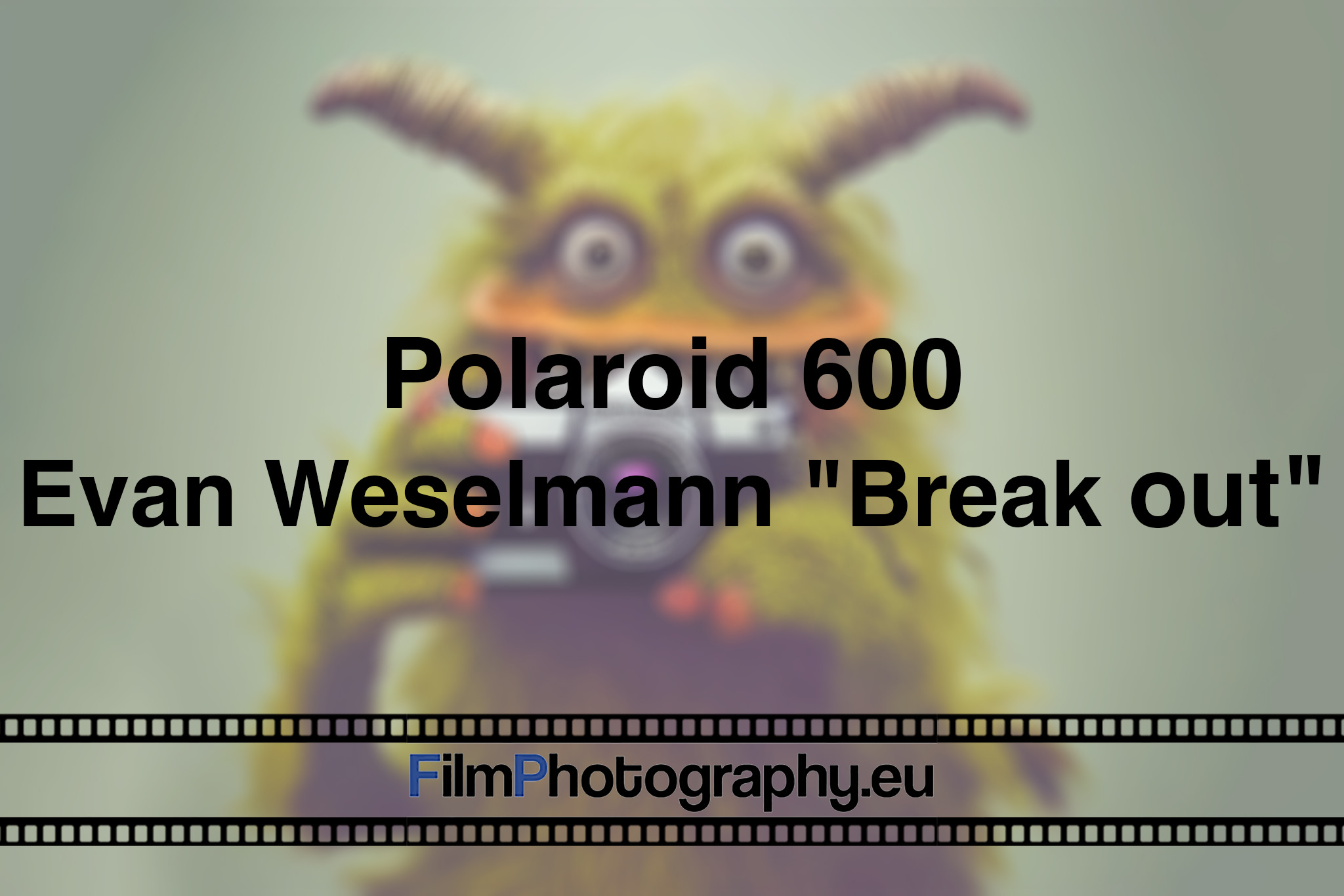 polaroid-600-evan-weselmann-break-out