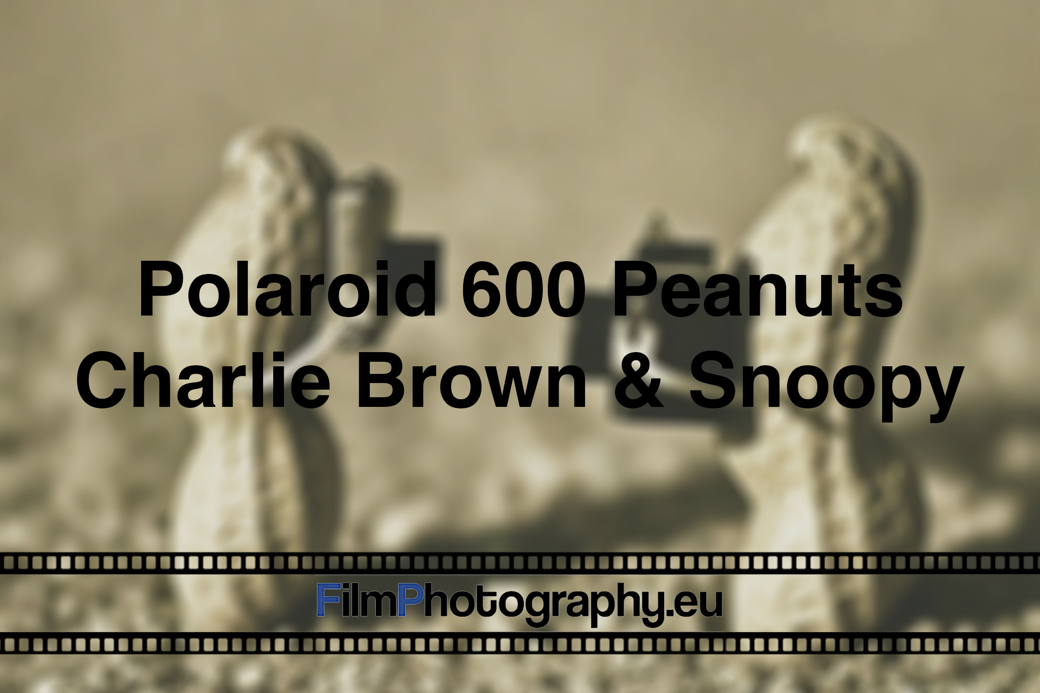 polaroid-600-peanuts-charlie-brown-snoopy-camera