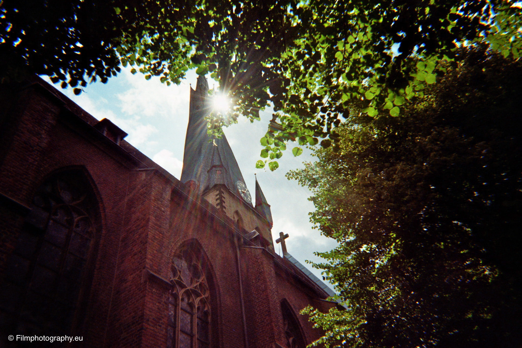 dm-fotoparadies-kodak-film-scan-3
